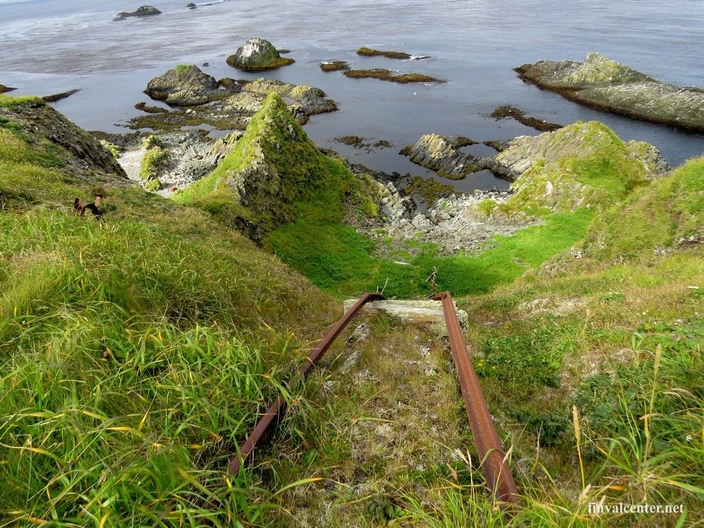 Остров расшуа