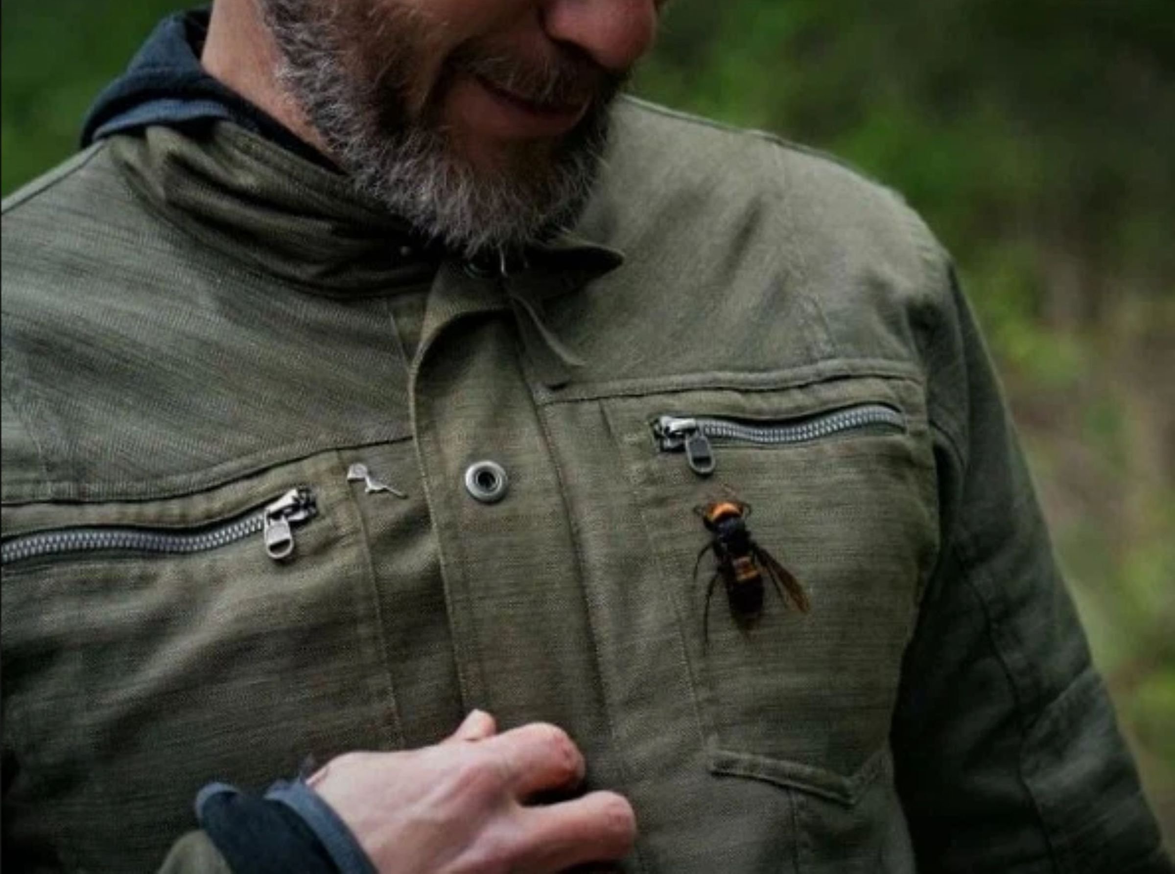 насекомые рядом с человеком