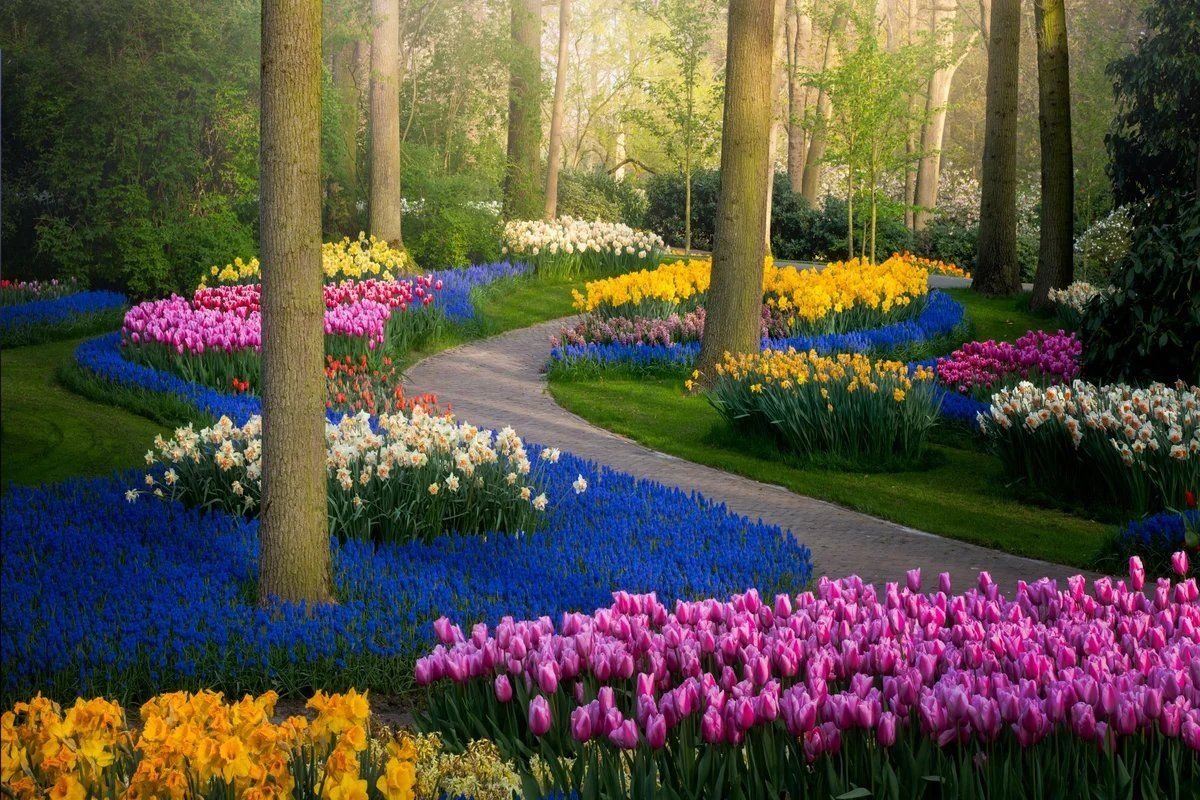 Королевский парк цветов - Keukenhof