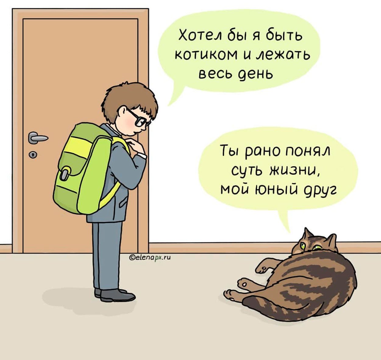 день из жизни кошки