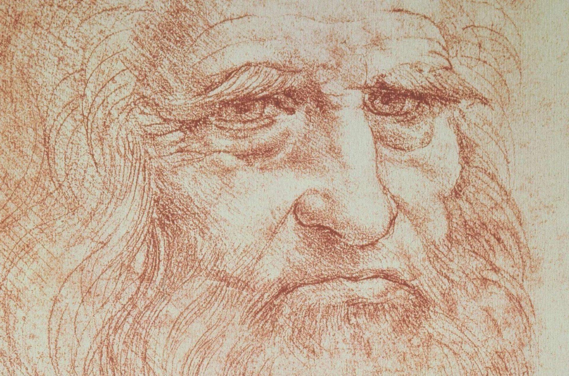 Leonardo da vinci painted