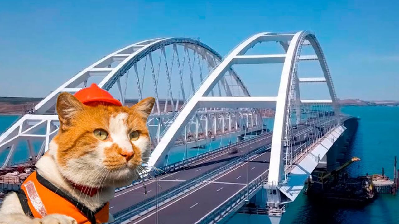 Котик мостик из крыма фото