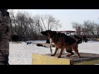 Ученье и труд все перетрут картинки