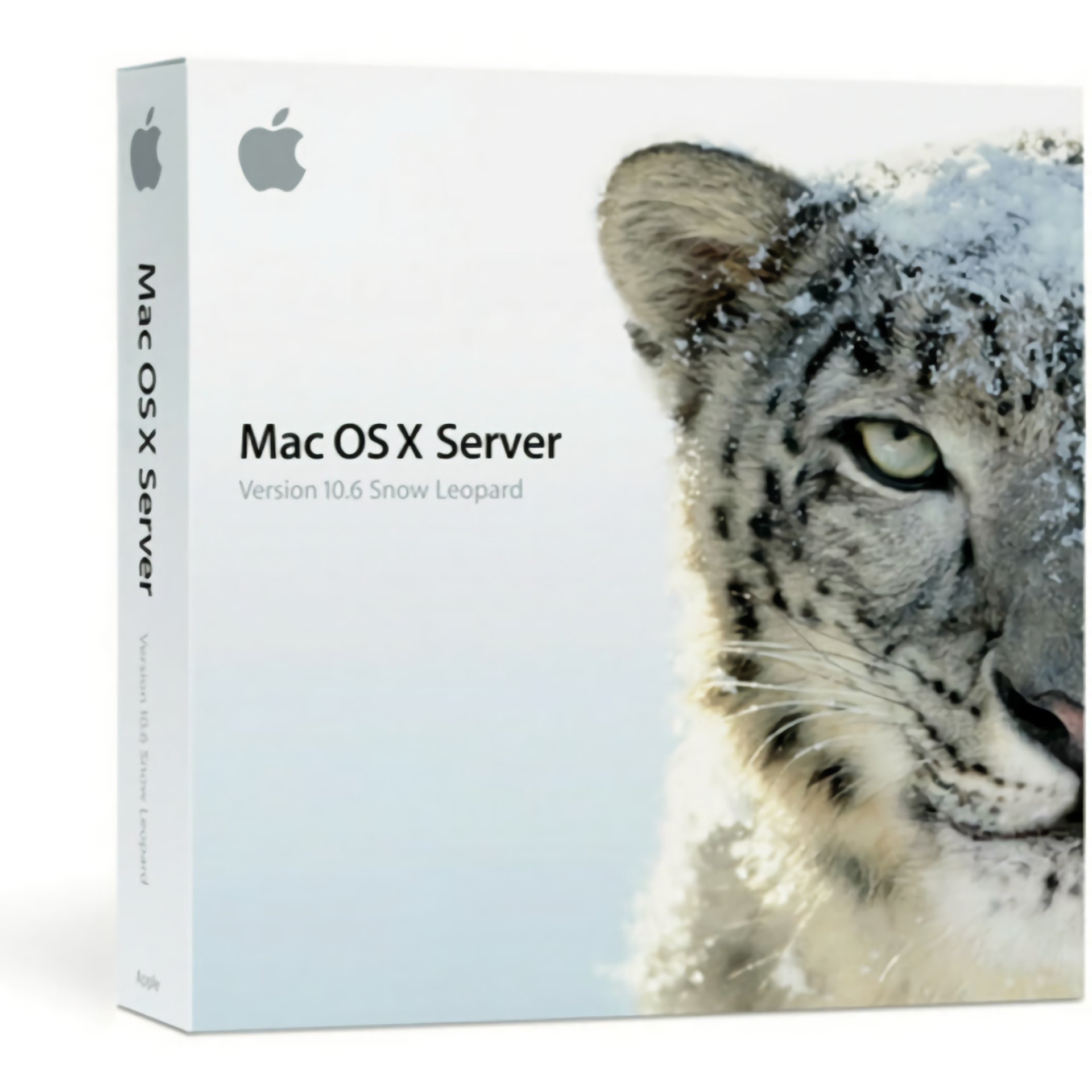 Os x 10.6 snow leopard. Mac os x 10.6 снежный Барс. Снежный Барс Mac os. Mac os x v10.6 Snow Leopard. Снежный Барс в снегу.