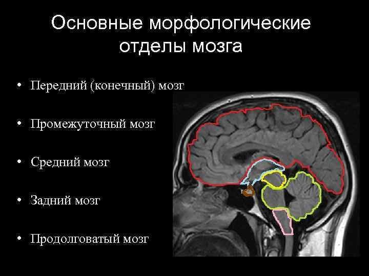 Мр картина расширения субарахноидального конвекситального пространства