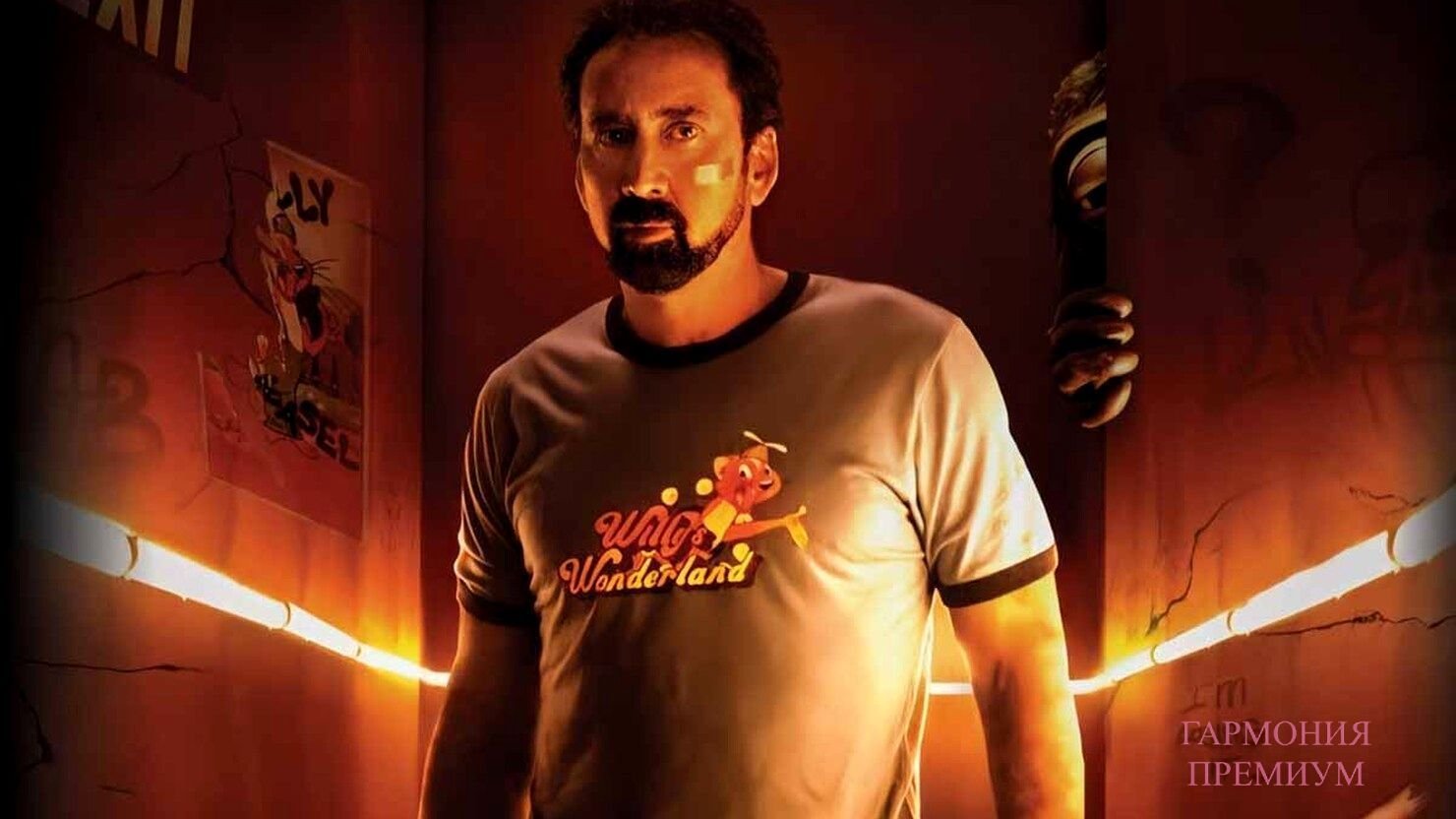 Страна чудес вилли картинки вилли