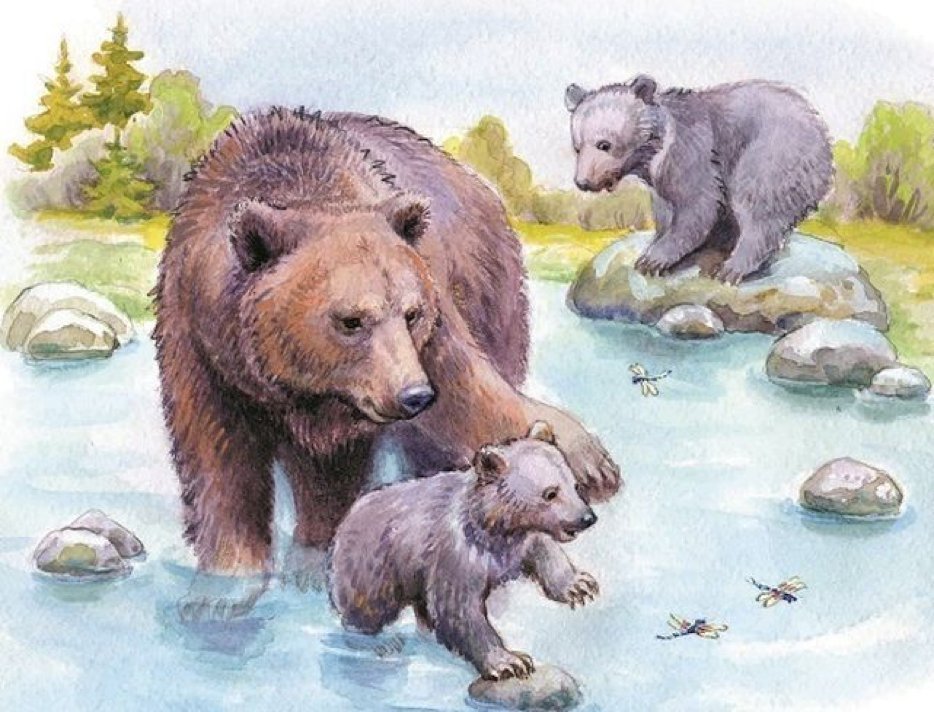 Картины с медведями и рекой