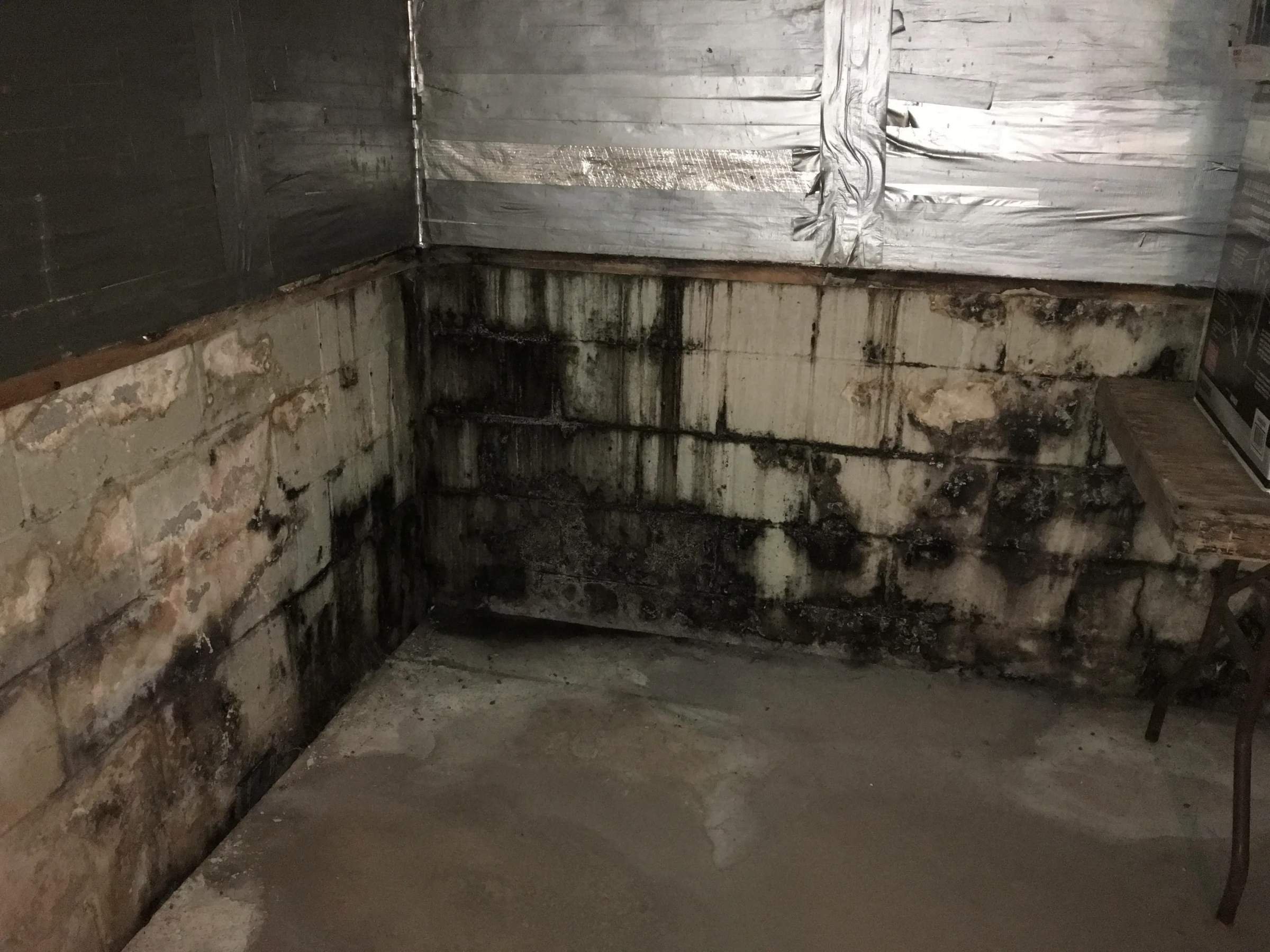 плесень в погребе. медный купорос от плесени. сырость в подвале. подполье в деревянном доме. дефекты подвала.