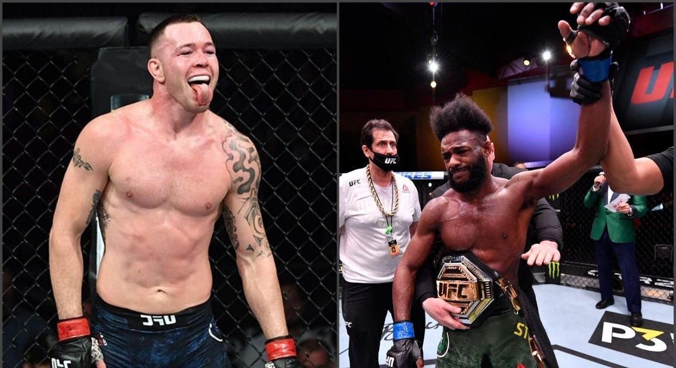 Fightpulse zoe. Пульс мма. Пульс мма. Пульс мма. Пульс мма.