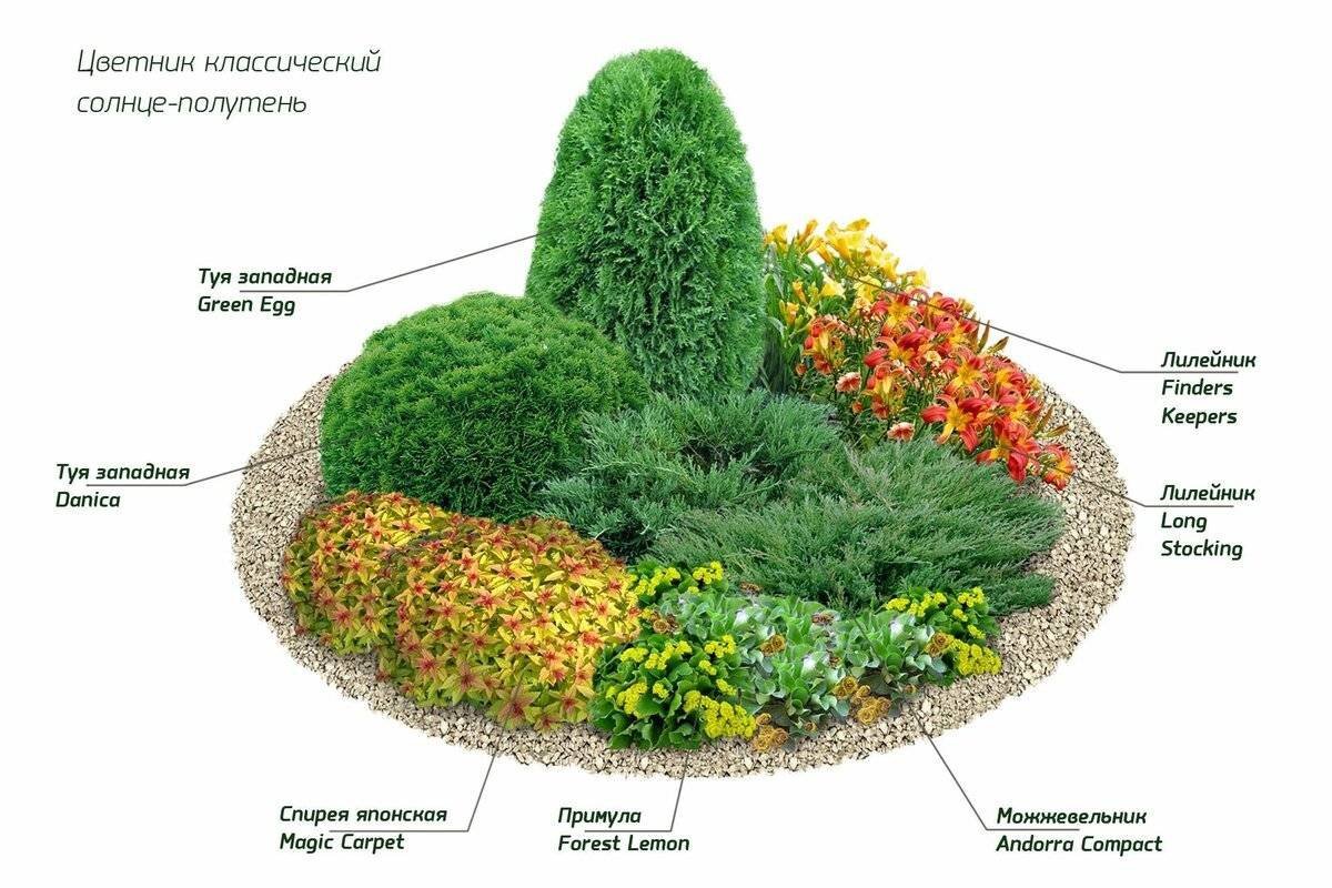 Цветник на солнцепеке схема
