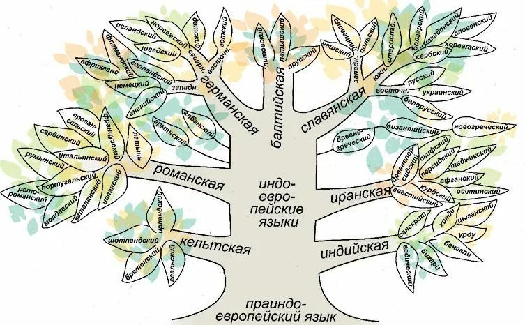 Как формировать денежное дерево схема