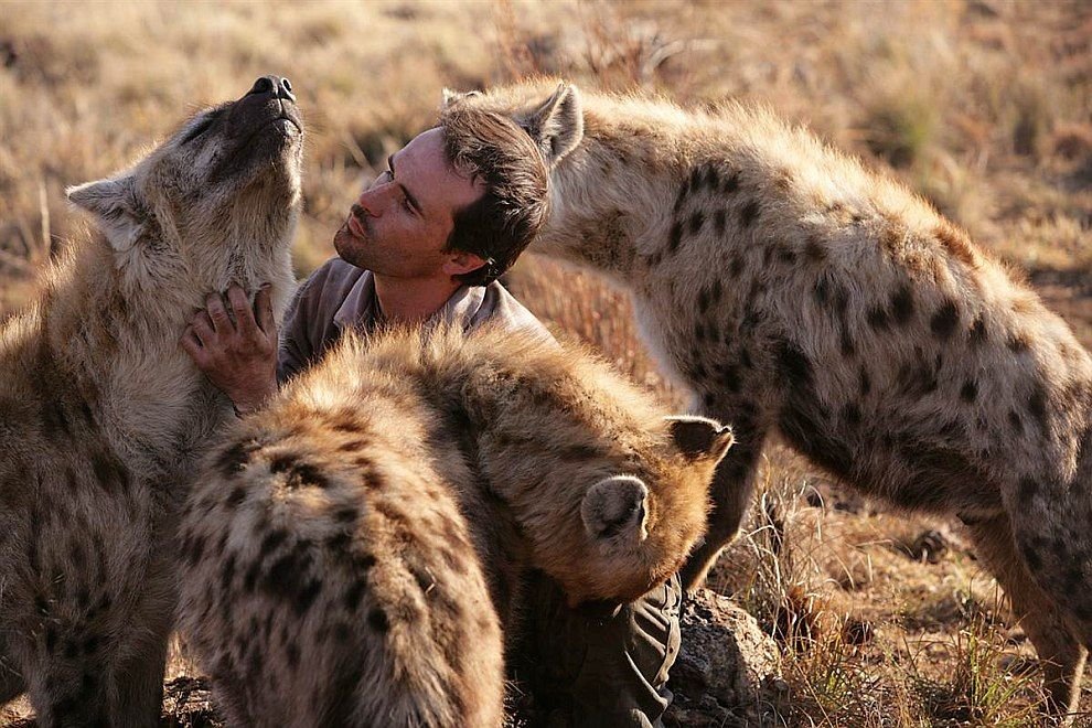 каракал каджит. кевин ричардсон и тигр. кевин ричардсон и пантера. люди и хищные звери. леопард на охоте.