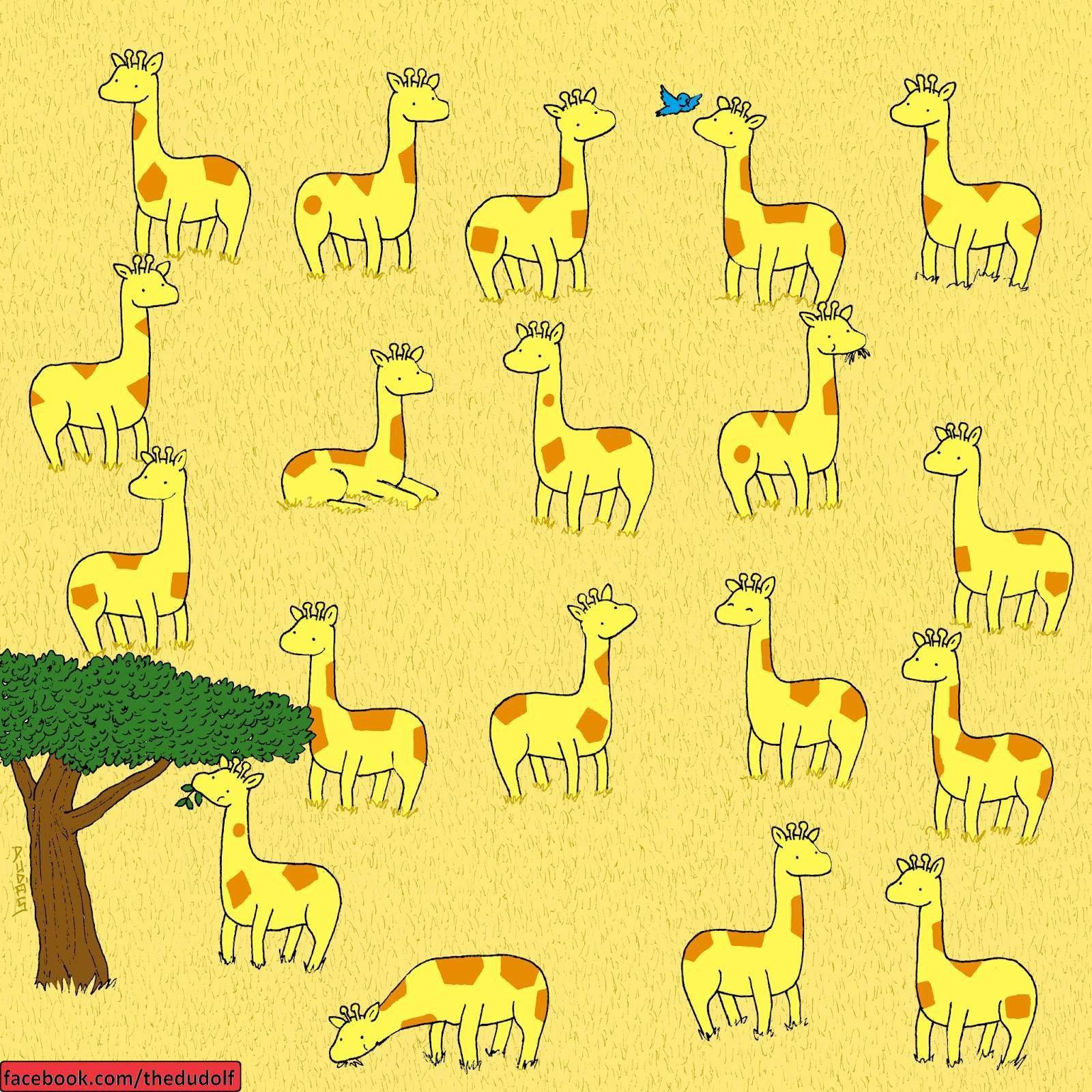 Найди 1 6. Головоломки с животными. Головоломка Найди жирафа. Головоломки с животными в картинках. Найди жирафа на картинке.