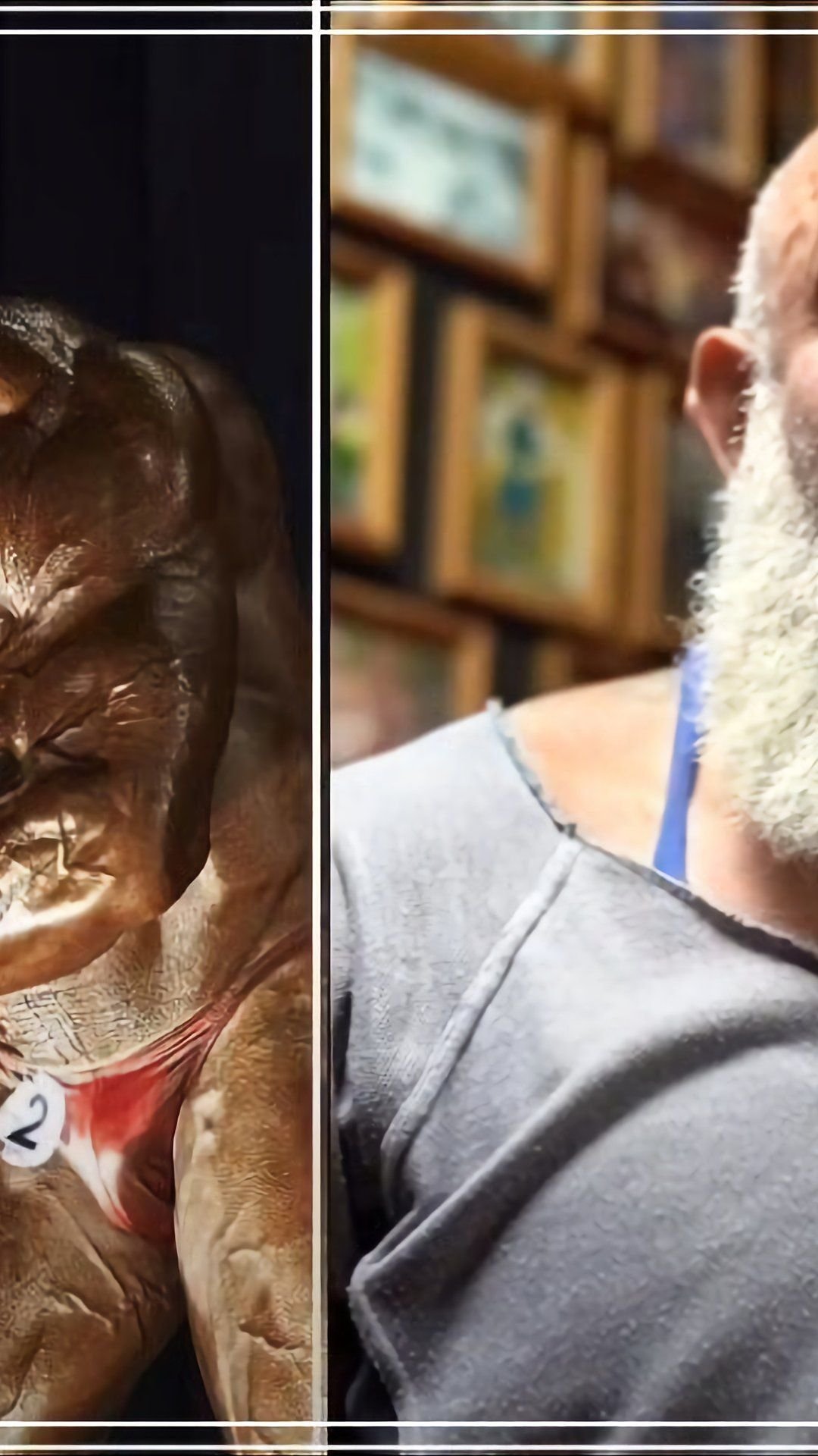 Vermoje � �������� �����������: ����.