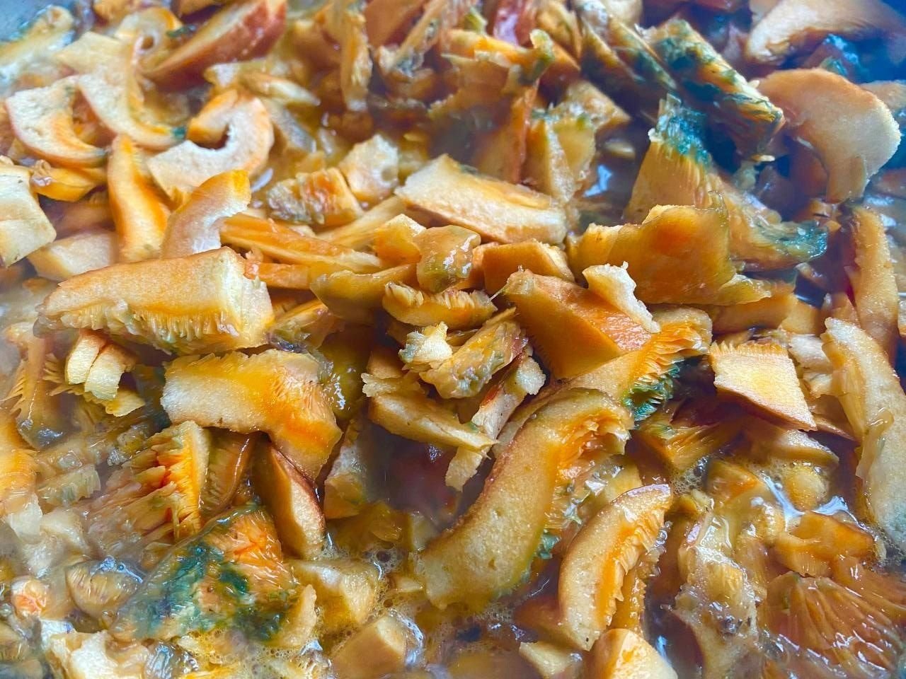 рыжики со сметаной. рыжики тушеные в сметане. рыжики со сметаной. рыжики в сметане на сковороде. рыжики со сметаной.