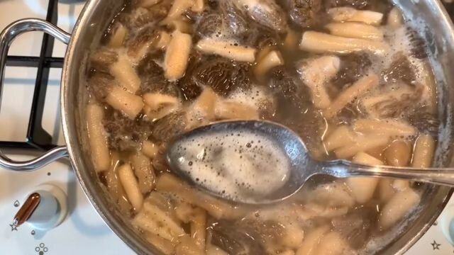 Сколько времени отваривать сморчки. Сморчки в сметанном соусе. Сморчки жареные с луком. Жареные сморчки с луком и сметаной. Сморчки после варки.