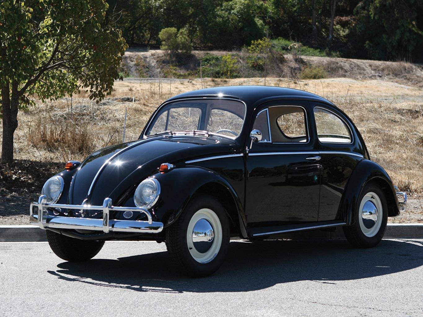 Volkswagen Volkswagen Жук