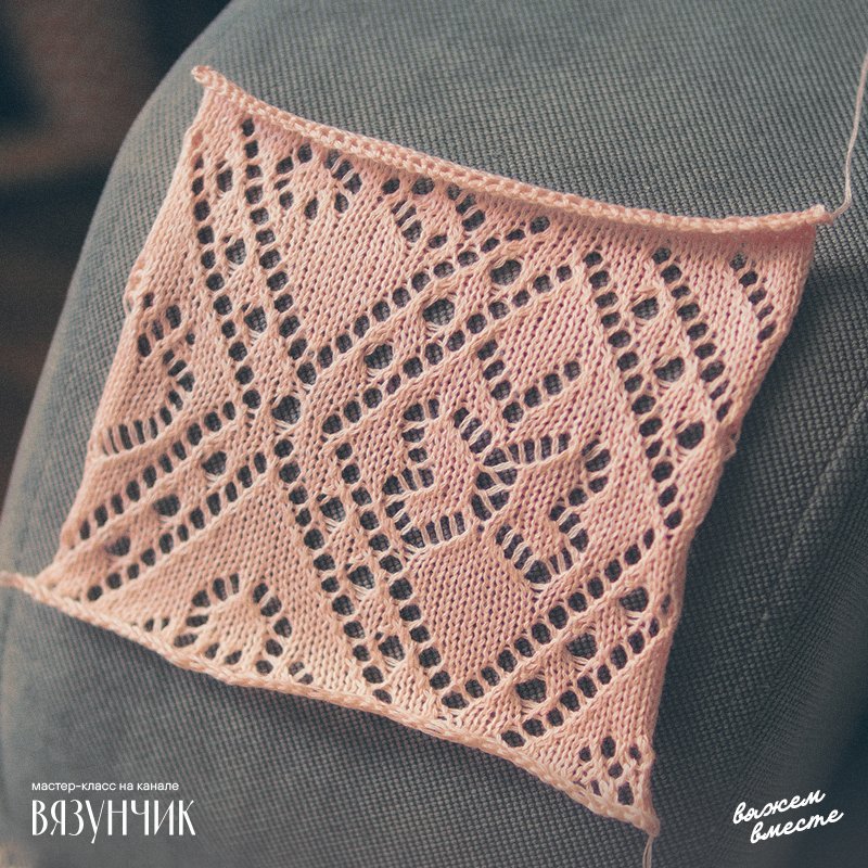 ��� ����� ����������� ���� ���������