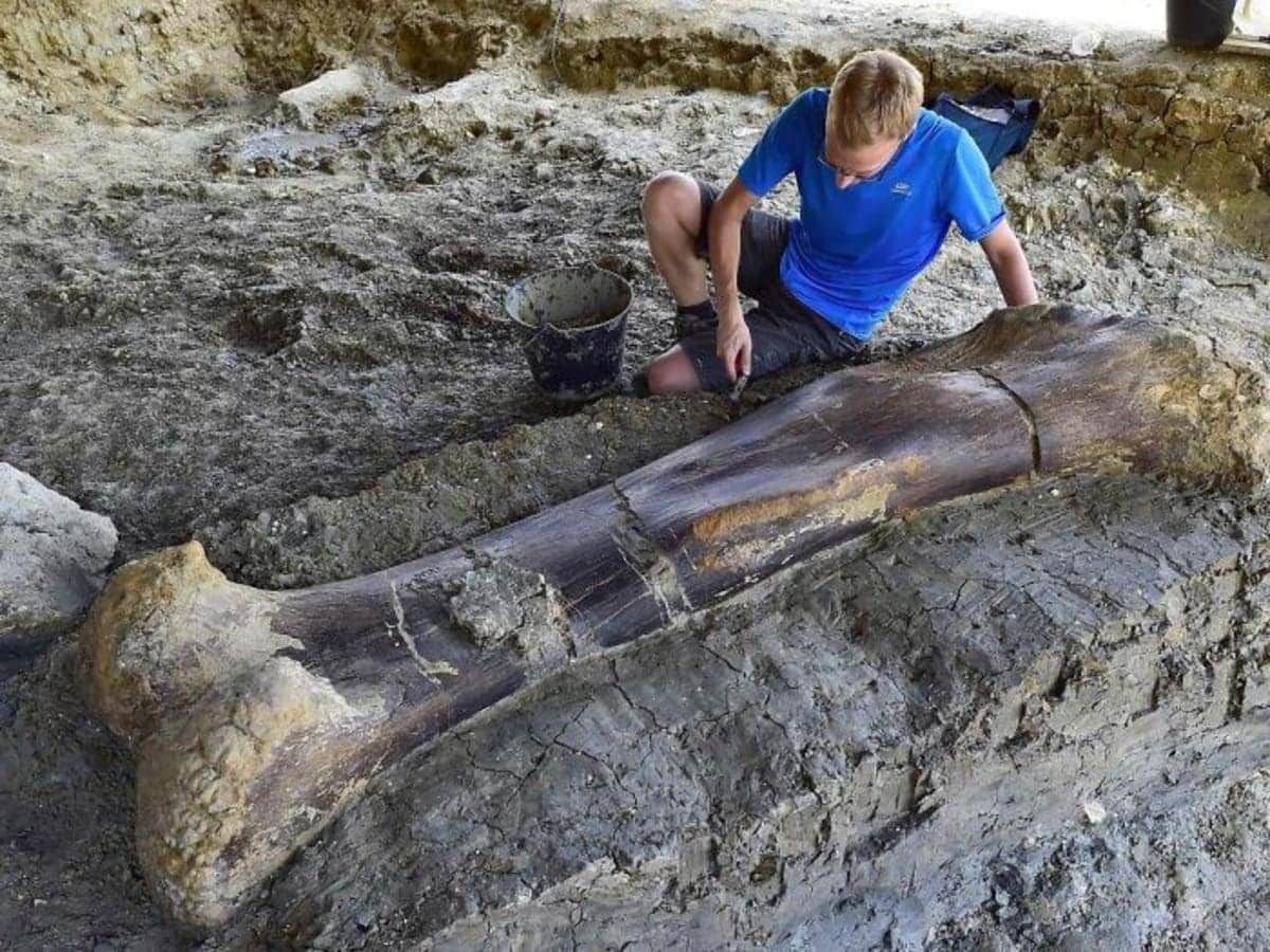Окаменелые останки древних людей гигантов