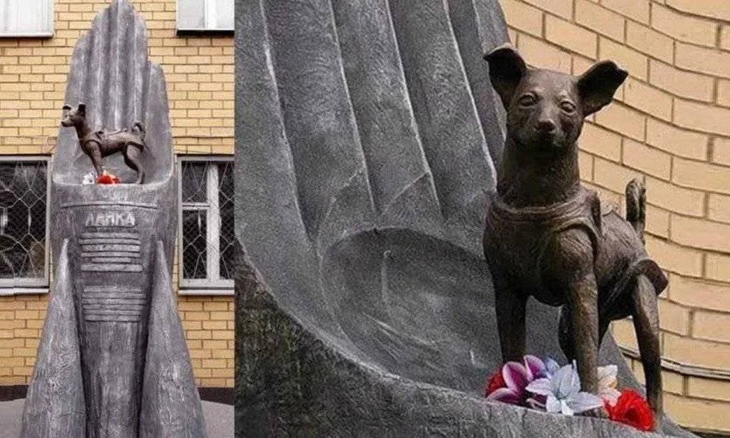 Памятник бродячей собаке в парке музеон в москве. Памятник собаке. Памятник который поставили собаке. Памятник собаке поводырю в берлине. Памятник который поставили собаке.