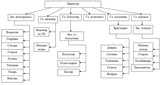 Управление хозяйством. Организационная структура СХ предприятия схема. Организационная структура растениеводческого предприятия. Производственная структура сельскохозяйственного предприятия схема. Организационная структура предприятия СХ предприятия.