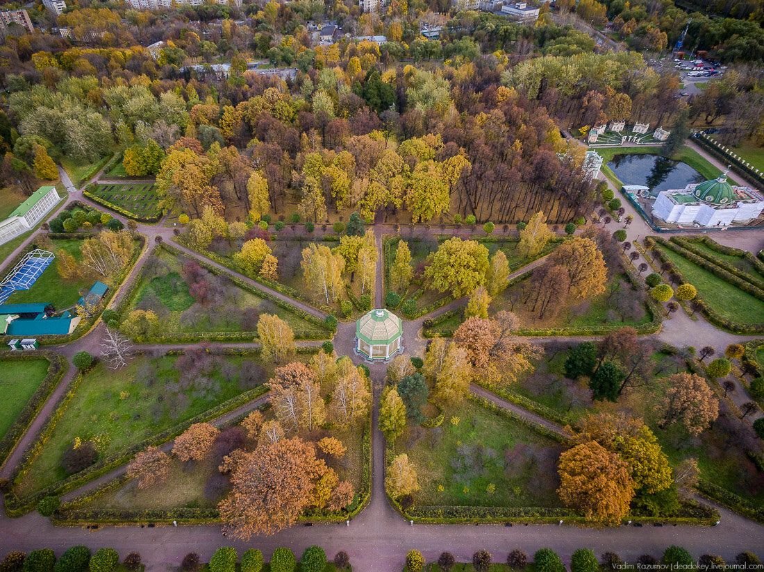 Фото вид парка вид сверху