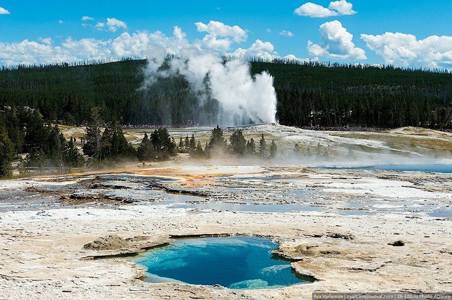 Йеллоустонский национальный парк фото