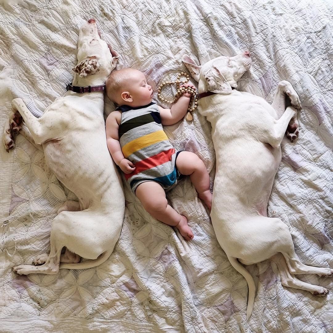 Новорожденные животные