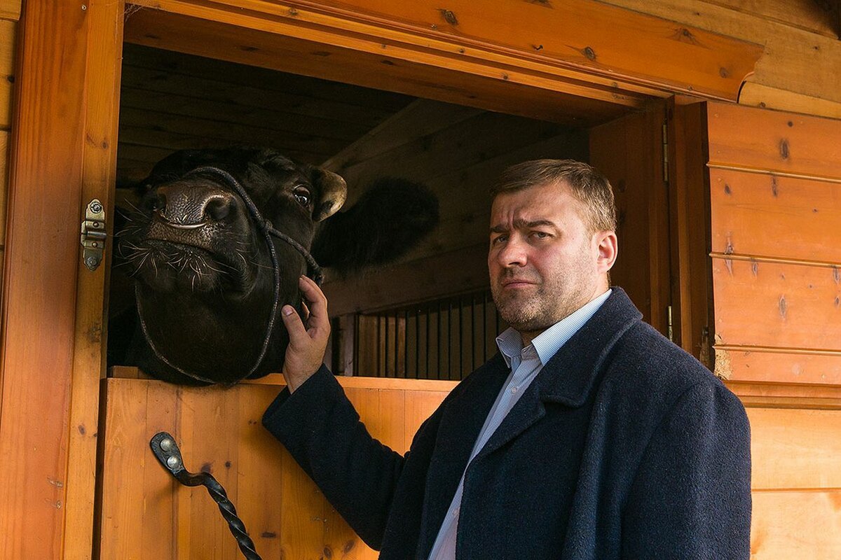 Михаил Пореченков в сериале Полярный