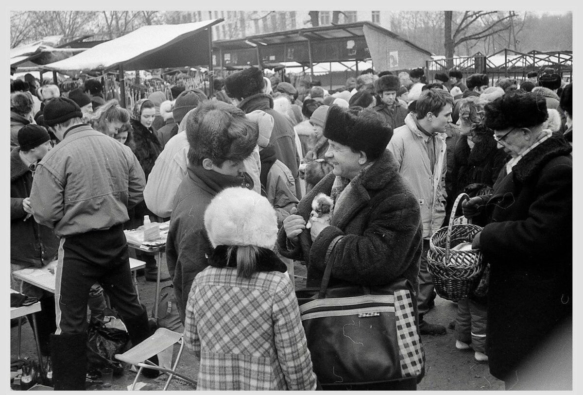 1980 гг. Калитниковский рынок в Москве. Птичий рынок СССР. Птичий рынок Таганка. Колхозный рынок СССР.