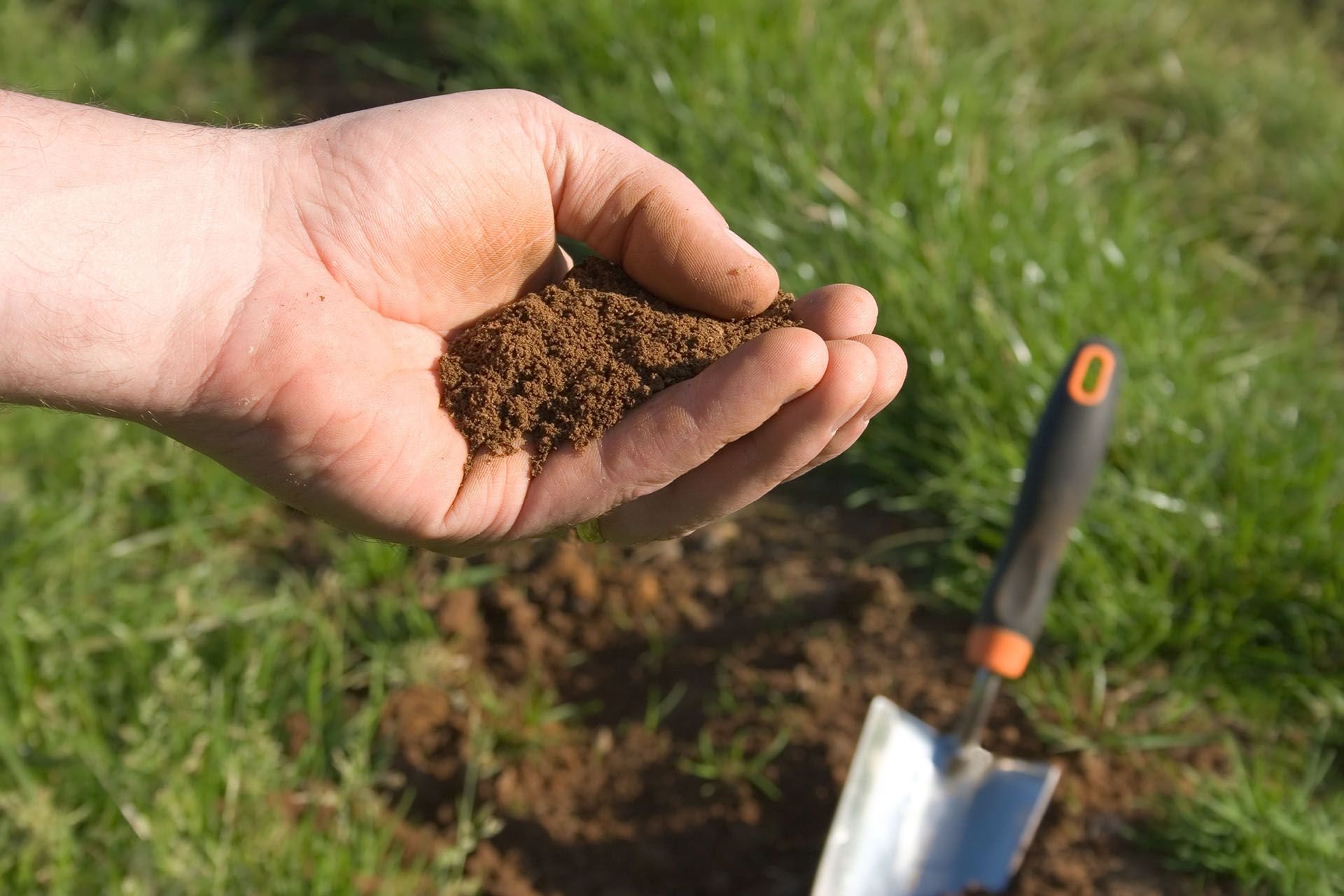 Кислая почва на огороде что делать. Почва. Кислая почва. Закисленность почвы. Дренированная почва.