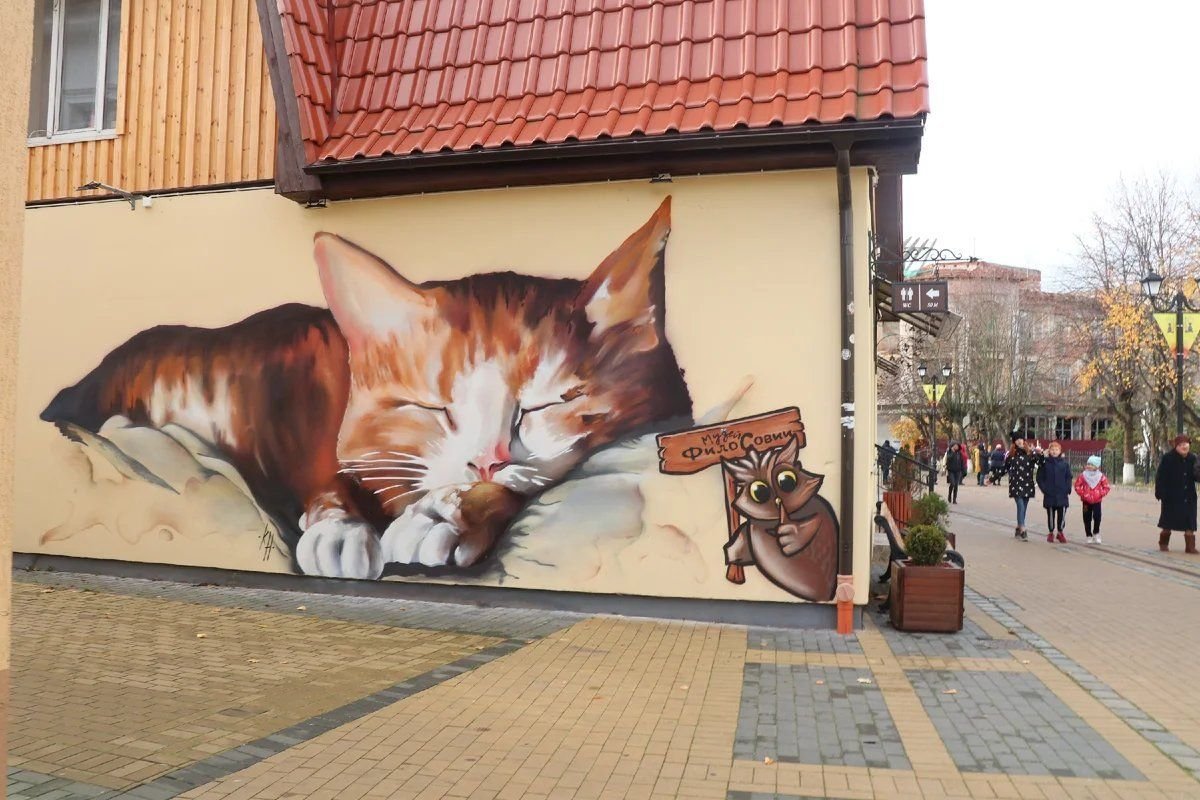 Зеленоградск калининградской коты. Зеленоградск город котов. Зеленоградск коты. Город кошек зеленоградск калининградская область. Зеленоградск калининградской коты.