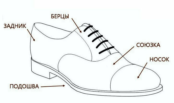 Строение обуви детали схема