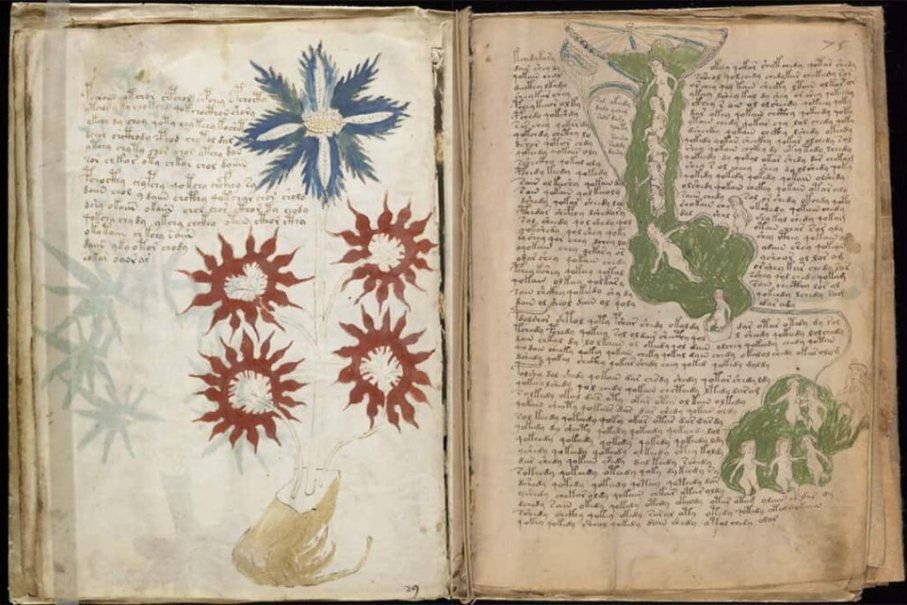 Загадка Манускрипта Войнича | УДИВИТЕЛЬНОЕ РЯДОМ | Пульс Mail.ru