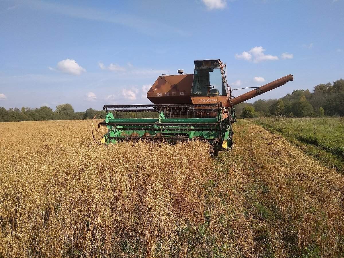 Комбайн нива дробит зерно причина