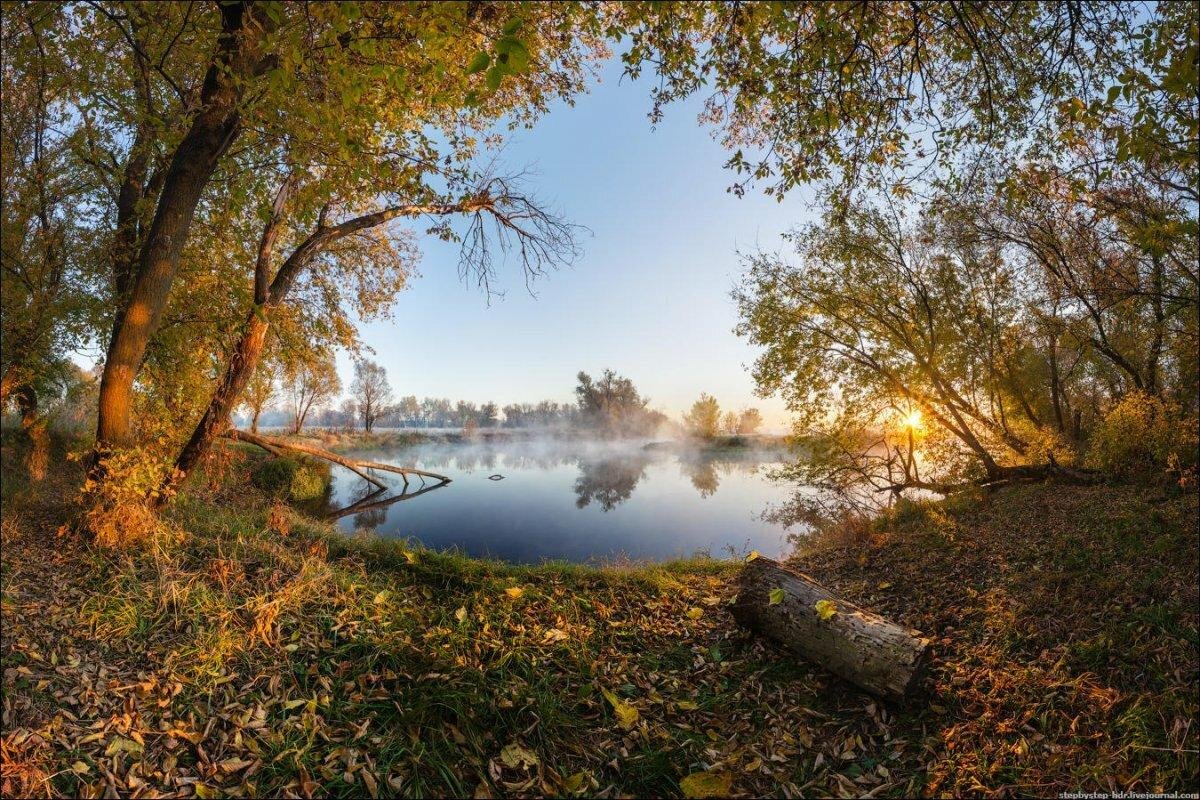 Осеннее утро пейзаж