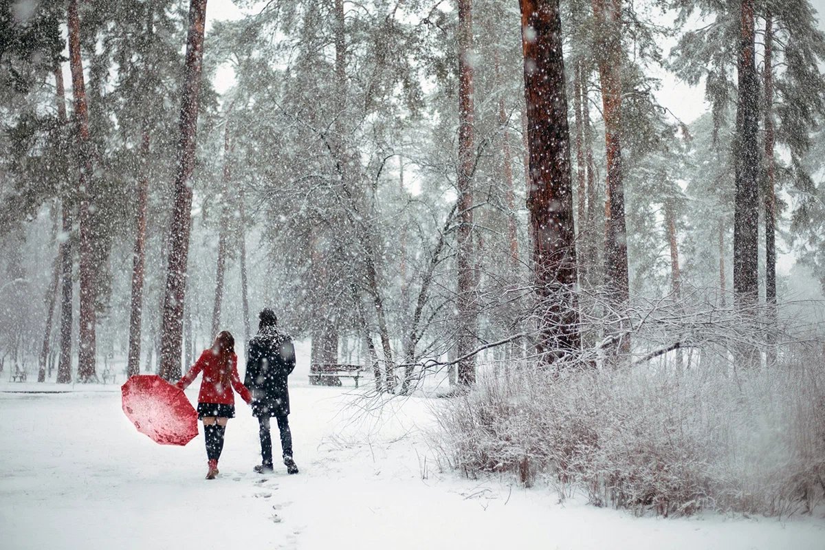 Прогулка по зимнему лесу. Прогулка в снежном парке. Прогулка в зимнем парке. Прогулка в зимнем лесу. Прогулка в зимнем парке.