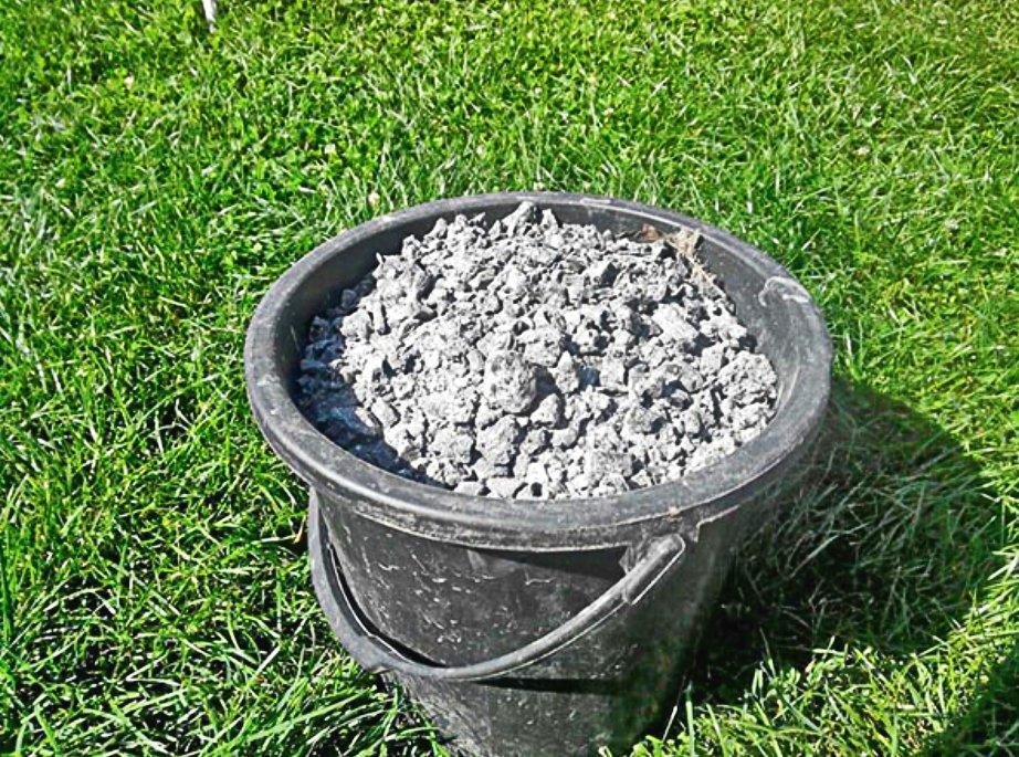 Капуста в огороде. Подкормка для огорода. Зола для огорода. Зола на грядке. Зола древесная.