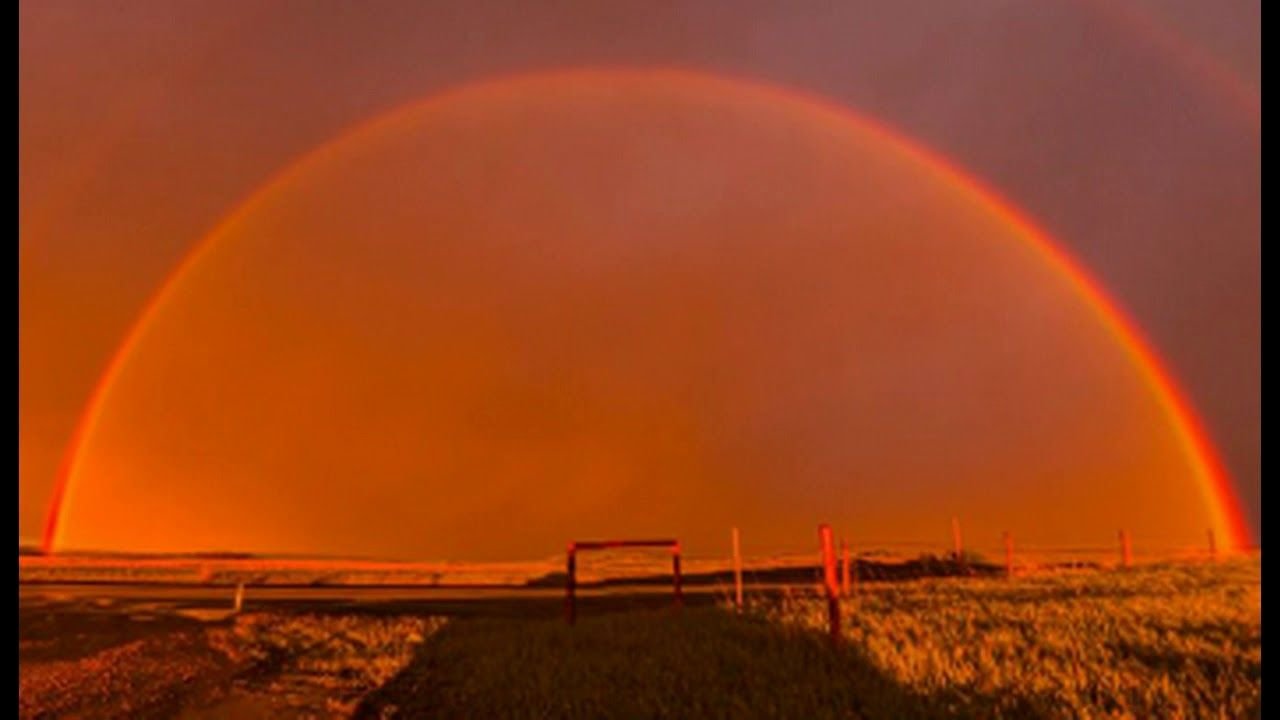 Фото красного радужного друга