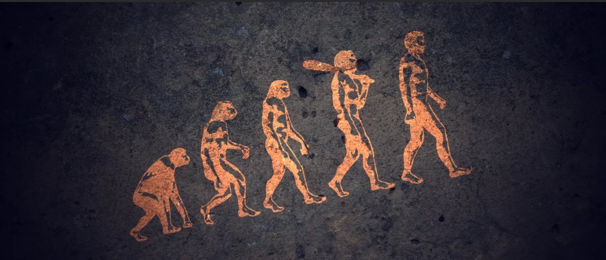 Эволюция обезьяны в человека фото