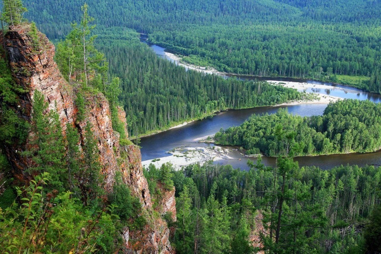 Самая большая река гора. Тайга река Красноярск. Таежная река Енисей. Река Кова Красноярский край. Тайка Красноярского края.