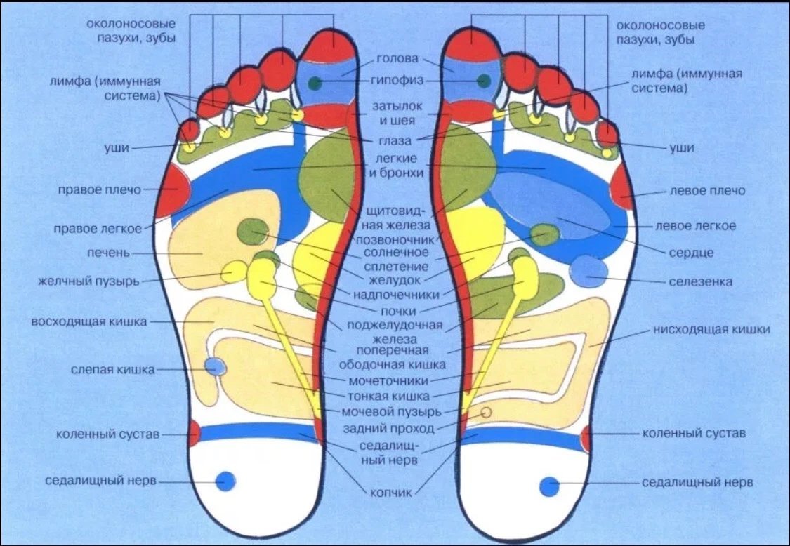 Почему карта в стопе. Рефлекторные зоны стопы схема органы. Рефлекторные точки стопы ног. Точки на ступнях отвечающие за органы для массажа. Массажные точки на ступнях ног схема.