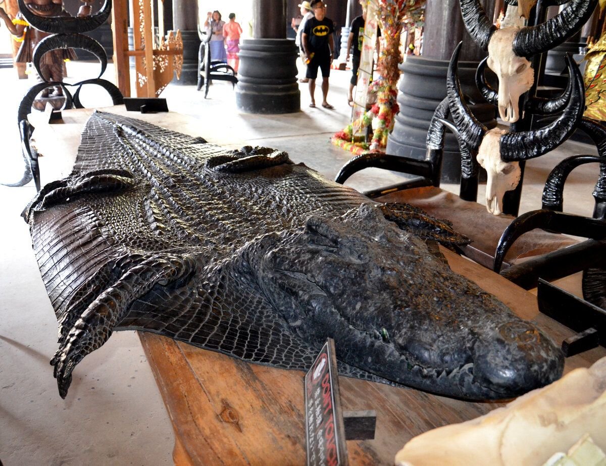 Mercedes sl r230 салон. самая дорогая кожа в мире. Bentley exp 10 speed 6 салон. кожаный салон мазерати. бентли exp 10 speed 6.