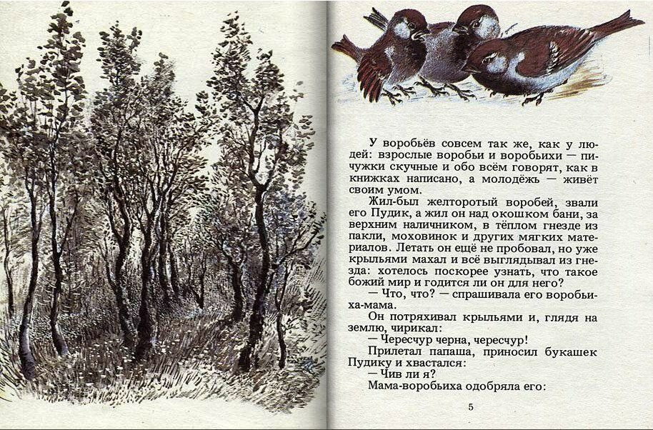 Читательский дневник краткое содержание воробьишко. Воробьишко Чарушин. Иллюстрация к рассказу Воробьишко Горького.