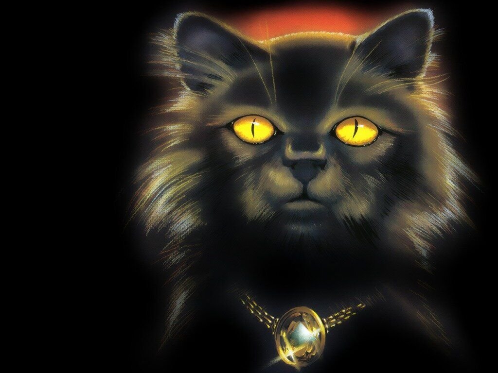 Аватар черный кот. Черный кот аватар. Аватары котов. Кот на аву. Черный кот на аву.