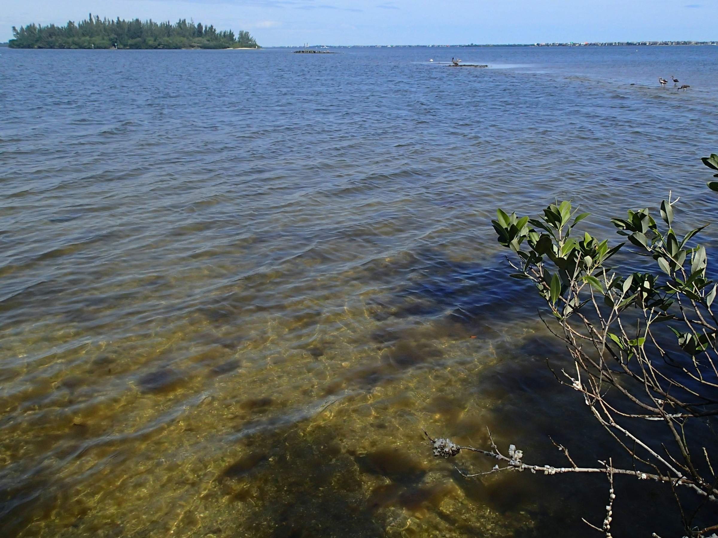 Озеро Шантропай Еткульский