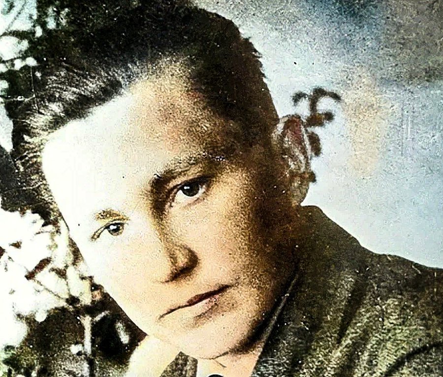 товарищ долгих