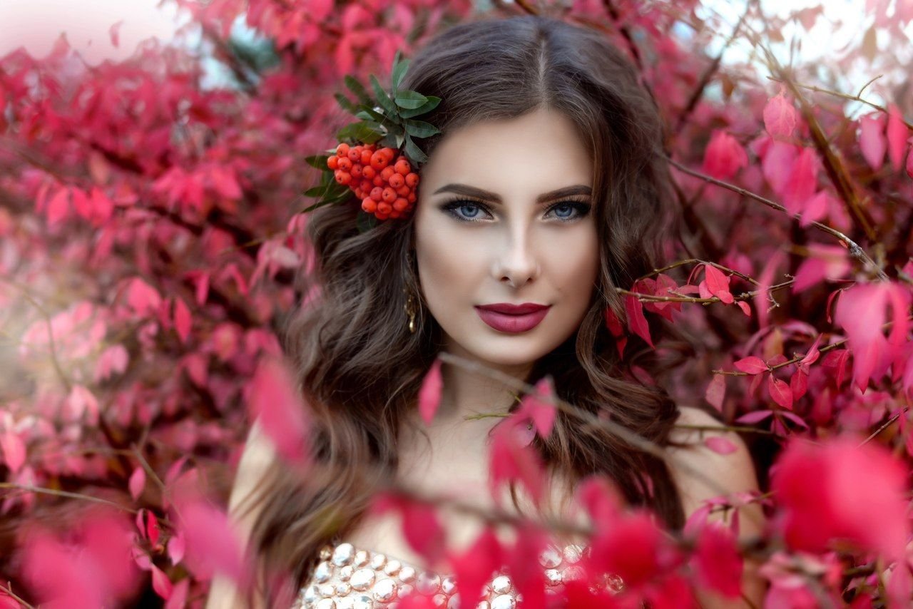 последние подборки