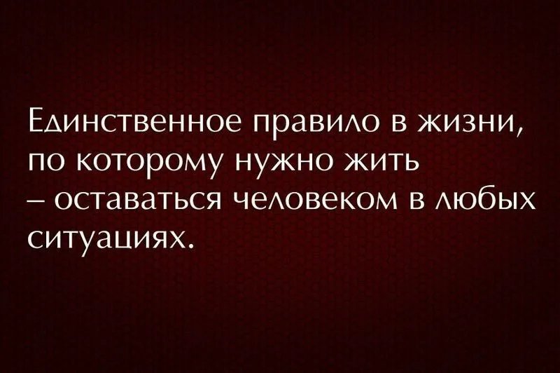 Есть ситуации. Оставайтесь людьми в любой ситуации цитаты. Надо оставаться человеком в любой ситуации цитаты. Будь человеком в любой ситуации цитаты. Оставайся человеком цитаты.