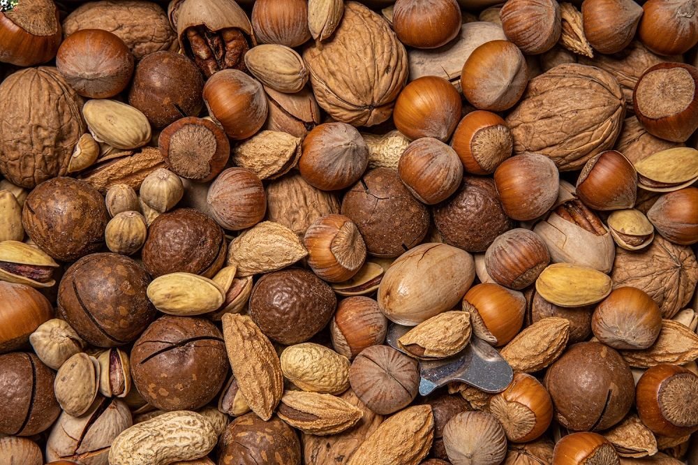 приму орех. орешки в руке. орехи. орехи в скорлупе. принимаем орех объявление.